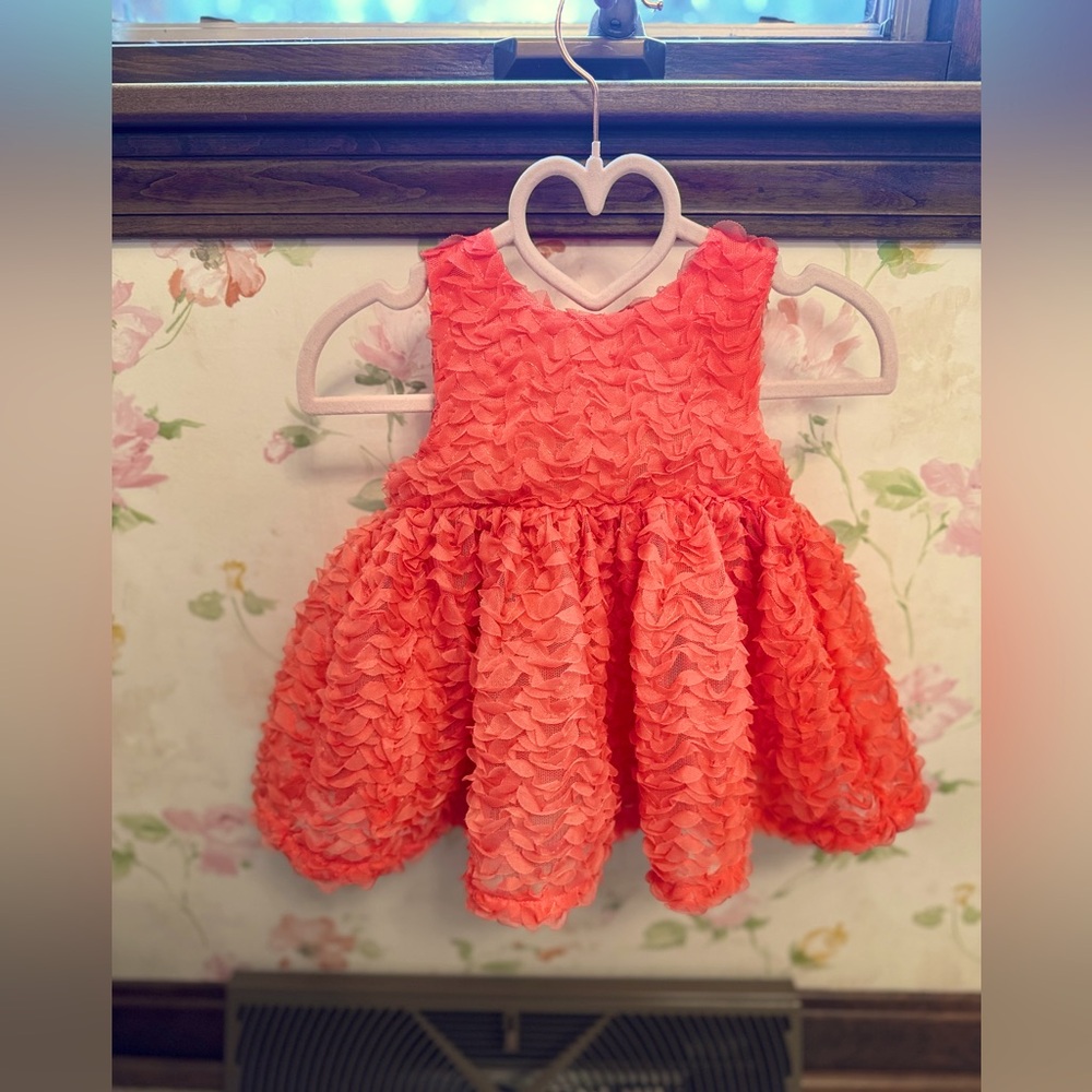 Cat & Jack Coral Lace Baby Dress